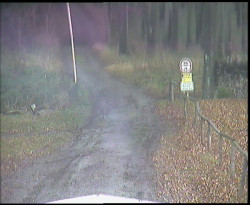 Nástup na běžecké tratě