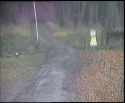 Nástup na běžecké tratě