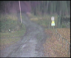 Nástup na běžecké tratě