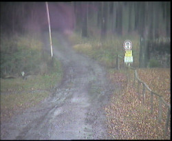 Nástup na běžecké tratě