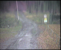 Nástup na běžecké tratě