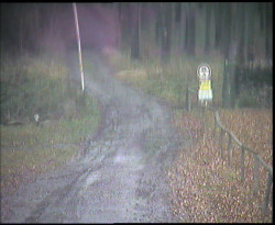 Nástup na běžecké tratě