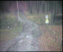 Nástup na běžecké tratě