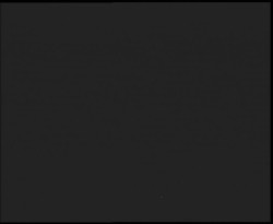 Nástup na běžecké tratě