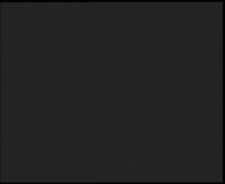 Nástup na běžecké tratě