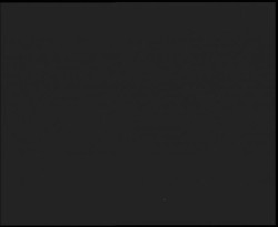 Nástup na běžecké tratě