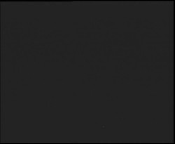 Nástup na běžecké tratě