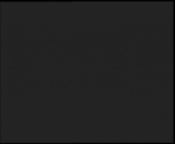 Nástup na běžecké tratě