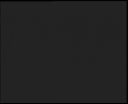 Nástup na běžecké tratě