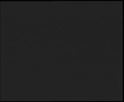 Nástup na běžecké tratě