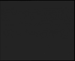 Nástup na běžecké tratě