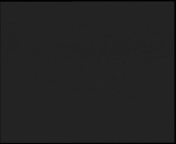 Nástup na běžecké tratě