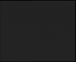 Nástup na běžecké tratě