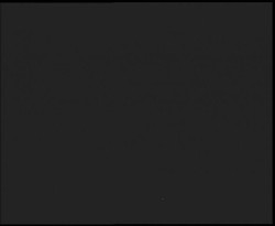 Nástup na běžecké tratě