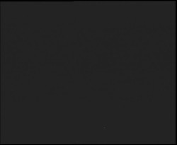 Nástup na běžecké tratě