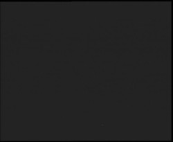 Nástup na běžecké tratě