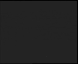 Nástup na běžecké tratě