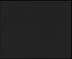 Nástup na běžecké tratě