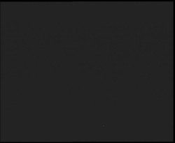 Nástup na běžecké tratě