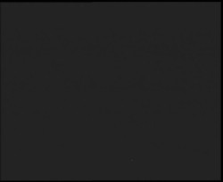 Nástup na běžecké tratě