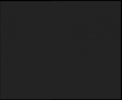 Nástup na běžecké tratě