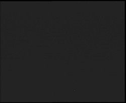 Nástup na běžecké tratě