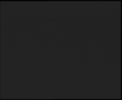 Nástup na běžecké tratě