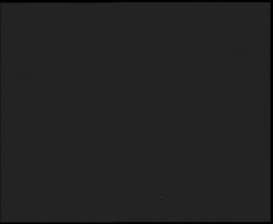 Nástup na běžecké tratě