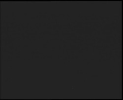 Nástup na běžecké tratě