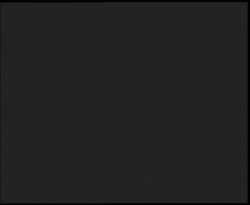 Nástup na běžecké tratě