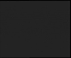 Nástup na běžecké tratě