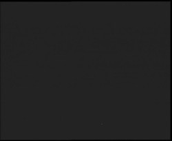 Nástup na běžecké tratě