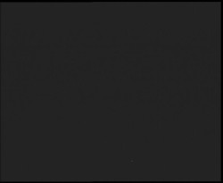 Nástup na běžecké tratě