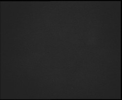 Nástup na běžecké tratě