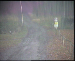 Nástup na běžecké tratě