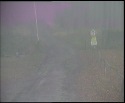 Nástup na běžecké tratě