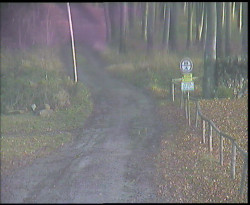 Nástup na běžecké tratě