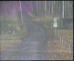 Nástup na běžecké tratě