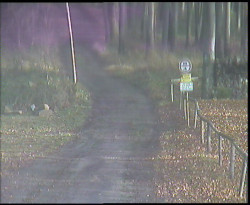 Nástup na běžecké tratě