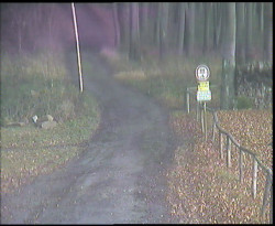 Nástup na běžecké tratě