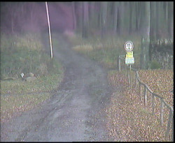 Nástup na běžecké tratě