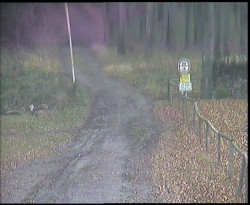 Nástup na běžecké tratě