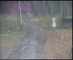 SkiAreál - Horský hotel Vsacký Cáb - Nástup na běžecké tratě - 7.12.2025 v 11:00 SkiAreál - Horský hotel Vsacký Cáb - Nástup na běžecké tratě - 7.12.2025 v 11:00