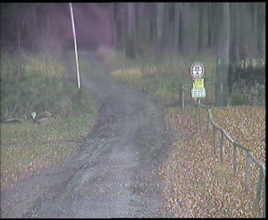 SkiAreál - Horský hotel Vsacký Cáb - Nástup na běžecké tratě - 7.12.2025 v 11:30 SkiAreál - Horský hotel Vsacký Cáb - Nástup na běžecké tratě - 7.12.2025 v 11:30