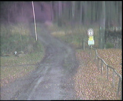 Nástup na běžecké tratě