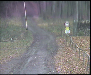 SkiAreál - Horský hotel Vsacký Cáb - Nástup na běžecké tratě - 7.12.2025 v 12:00 SkiAreál - Horský hotel Vsacký Cáb - Nástup na běžecké tratě - 7.12.2025 v 12:00