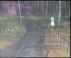 Nástup na běžecké tratě