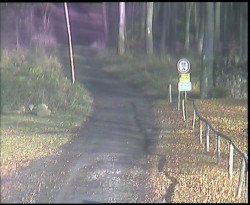 Nástup na běžecké tratě