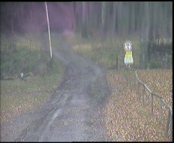 Nástup na běžecké tratě