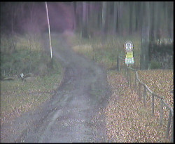 Nástup na běžecké tratě